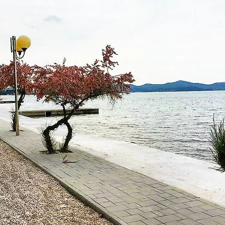 Diklo Marija * Zadar