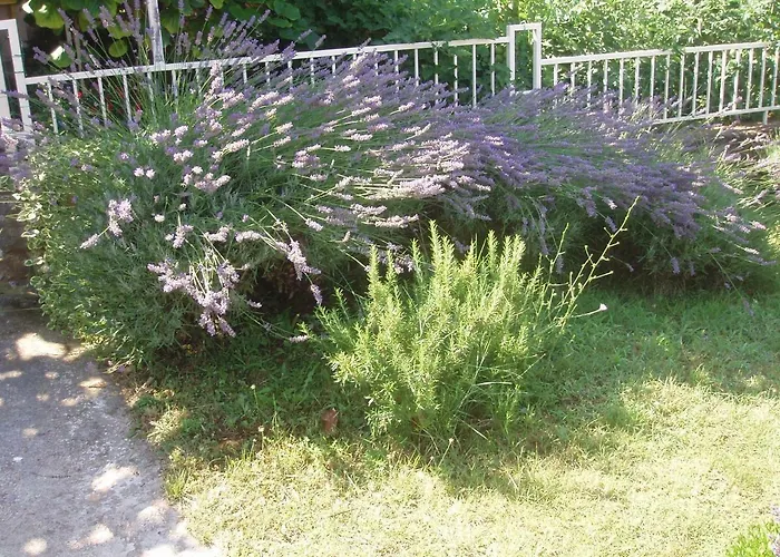 Appartement Diklo Marija Zadar