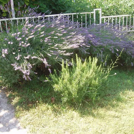 Apartment Diklo Marija Zadar